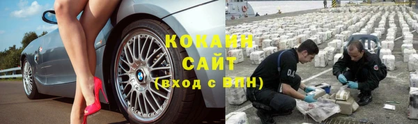 тгк Рославль