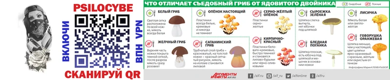 блэк спрут вход  Невельск  Псилоцибиновые грибы Magic Shrooms 