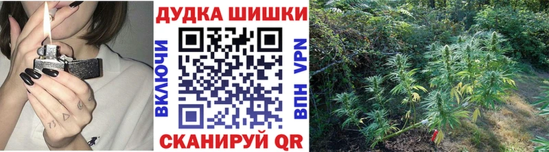 МЕГА сайт  Невельск  Шишки марихуана планчик  что такое наркотик 
